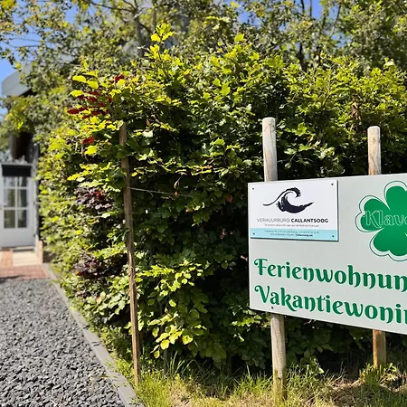 Klaver 4 * Callantsoog