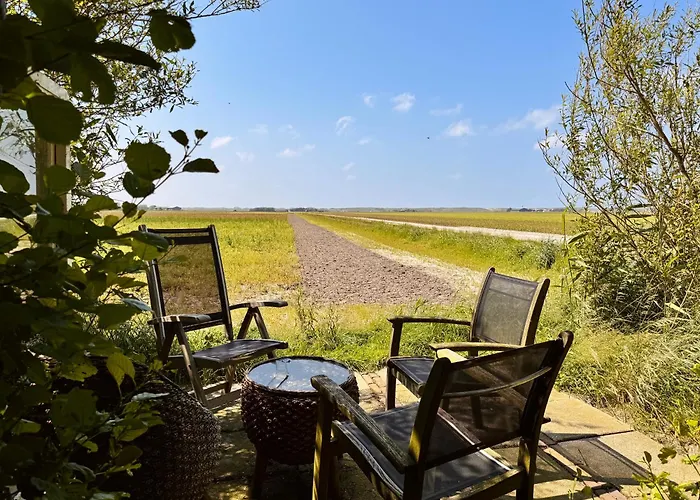 Vakantiehuis Klaver 4 *