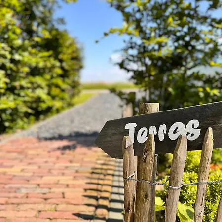 Klaver 4 * Callantsoog